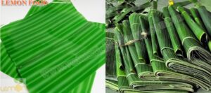 Lá chuối giả và lá chuối thật