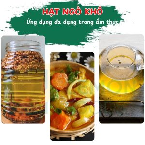 Công dụng của hạt ngò