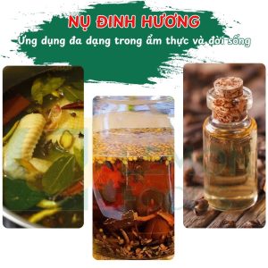 Công dụng của nụ đinh hương