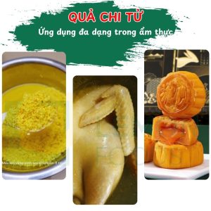 Quả dành dành tạo màu