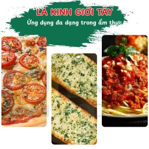 Công dụng lá kinh giới cay
