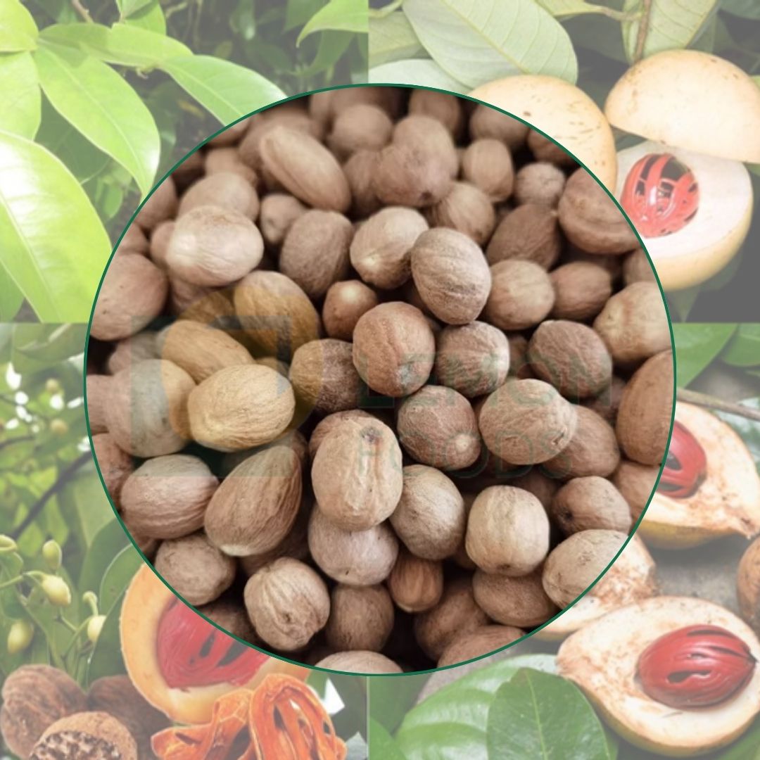 Nhục đậu khấu khô