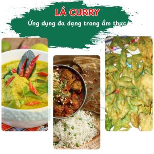 Ứng dụng của lá cà ri khô