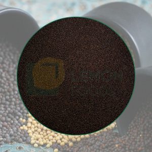 Black Mustard Seed