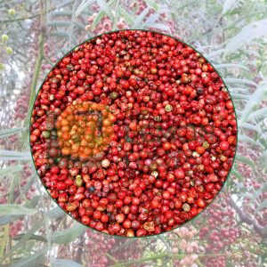 Pink Peppercorn tạo mùi vị cay dịu và tăng tính thẩm mỹ cho món ăn