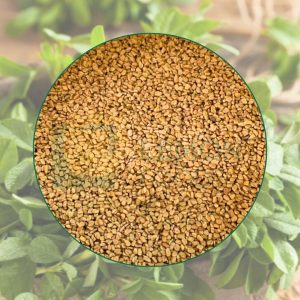 Hạt Fenugreek chứa nhiều dưỡng chất có lợi cho sức khỏe